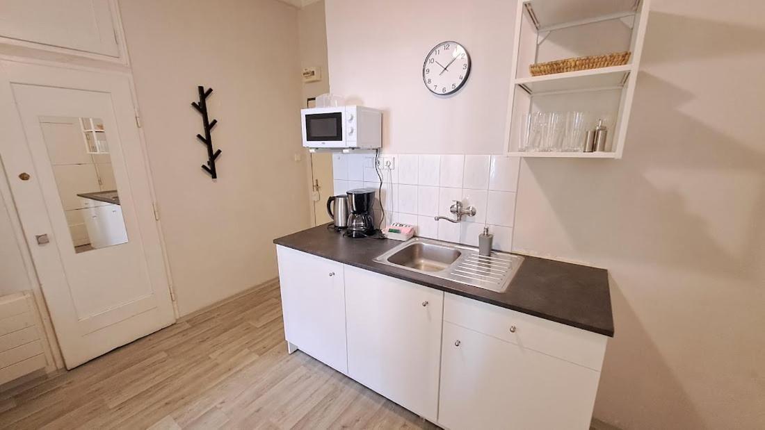 Flat In Zizkov -402- Apartament Praga